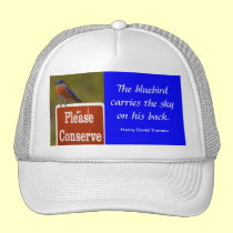 Bluebird with Thoreau Quote hats