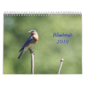 Bluebirds 2010 calendars