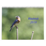 Bluebirds 2010 wall calendar
