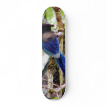 Bluebirds 3 skate boards