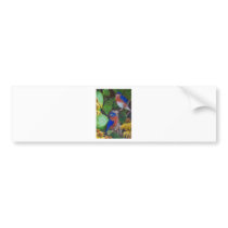 Bluebirds Bumper Stickers