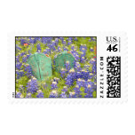 Bluebonnet and Boots Stamp