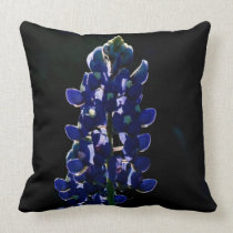 Bluebonnet and Indian Paint Brush pillow