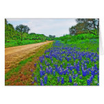 Bluebonnet Back Road Greeting Cards