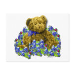 Bluebonnet Bear Postcard