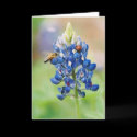 Bluebonnet Buddies - Greeting & Note Cards