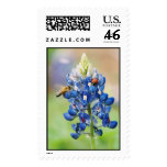 Bluebonnet Buddies Postage