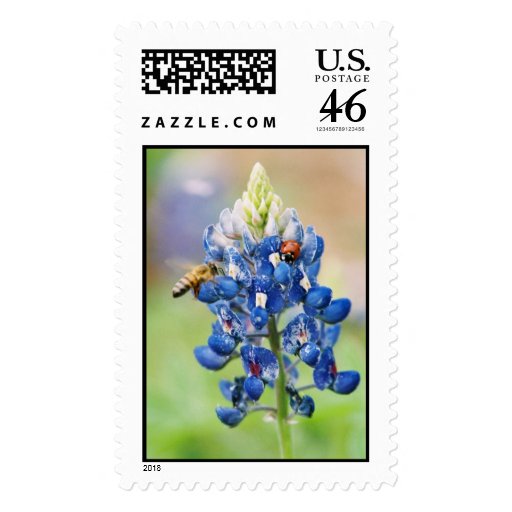 Bluebonnet Buddies Postage
