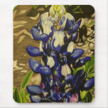 "Bluebonnet" by Jenny Koch Mousepad