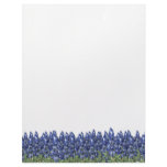 Bluebonnet Field Letterhead