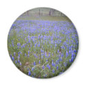 Bluebonnet Field magnet