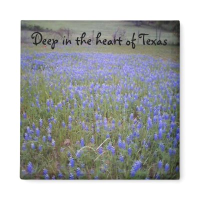 Bluebonnet Field phrase magnet by farmlife