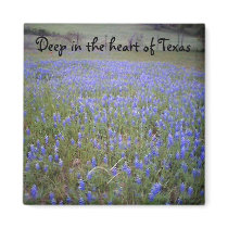 Bluebonnet Field phrase magnet