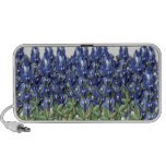 Bluebonnet Field Speakers