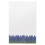 Bluebonnet Field Stationery