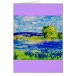 bluebonnet fields