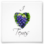 Bluebonnet "I heart Texas" Square Photograph Print