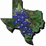Bluebonnet Keychain