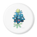 Bluebonnet magnets