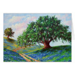 "Bluebonnet Road" (Blank Card)