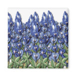 Bluebonnet Square Magnet