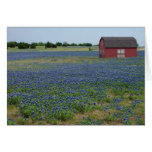 Bluebonnets and a Red Barn cards