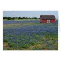 Bluebonnets and a Red Barn Cards