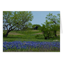 Bluebonnets and an Old Barn note card