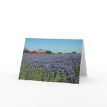 Bluebonnets and Barn Cards