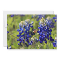 Bluebonnets and Bee Invitations