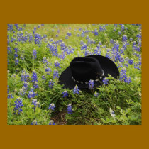 Bluebonnets and Cowboys posters