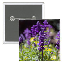 Bluebonnets Button
