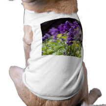 Bluebonnets Dog Shirt