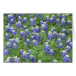 Bluebonnets in a field card
