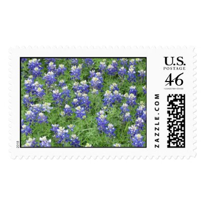 Bluebonnets in a field stamps by ofenjen
