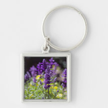 Bluebonnets Keychain