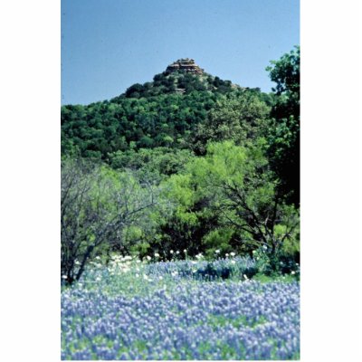 bluebonnets in texas. Bluebonnets, Llano, Texas