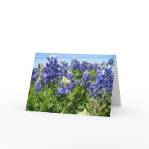 Bluebonnets Notecard