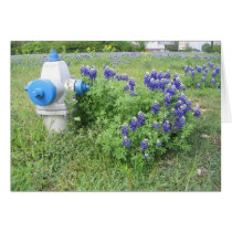 Bluebonnets on University Street Greeting Cards