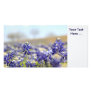 Bluebonnets Photo Card