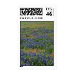 Bluebonnets Stamps