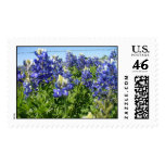 Bluebonnets Postage Bluebonnets Postage