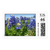Bluebonnets Postage