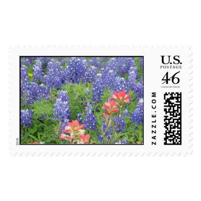 Bluebonnets Postage by titanic