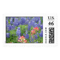 Bluebonnets Postage