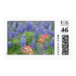 Bluebonnets Postage
