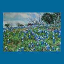 Bluebonnets Print