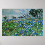 Bluebonnets Print