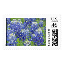 Bluebonnets Stamps