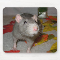 blueboo3 mousepads by RhinelanderRatRescue blueboo3 mousepads